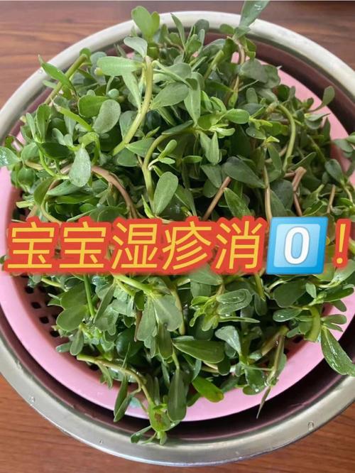 国内第三代助孕宝宝湿疹妈吃什么